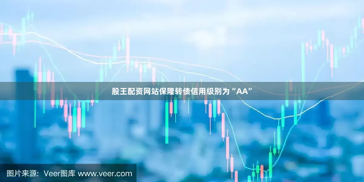 股王配资网站保隆转债信用级别为“AA”