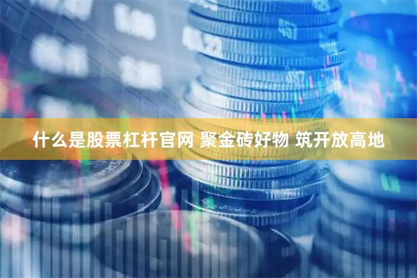 什么是股票杠杆官网 聚金砖好物 筑开放高地