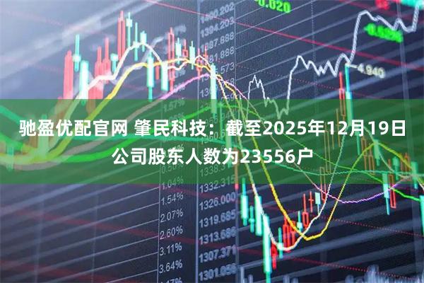 驰盈优配官网 肇民科技：截至2025年12月19日公司股东人数为23556户